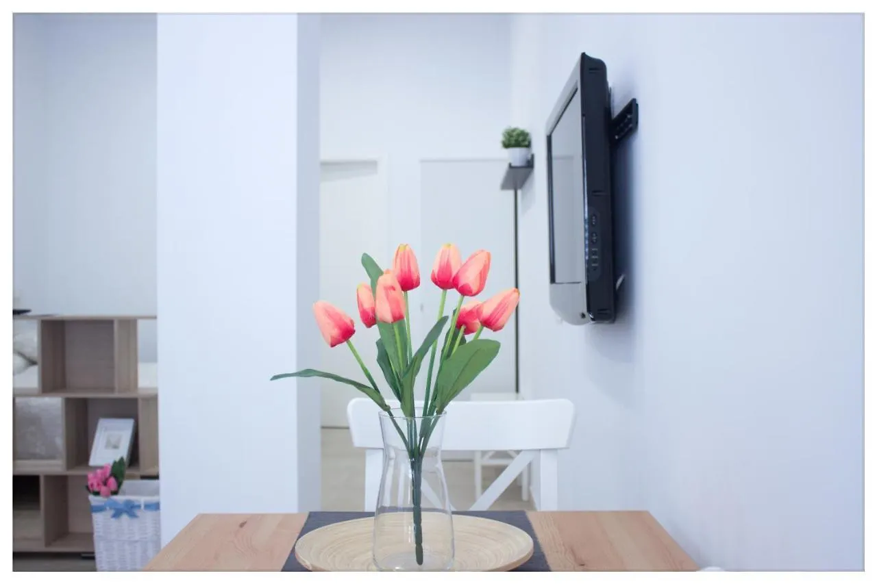 Estacion-Centro Vialia Apartment Malaga