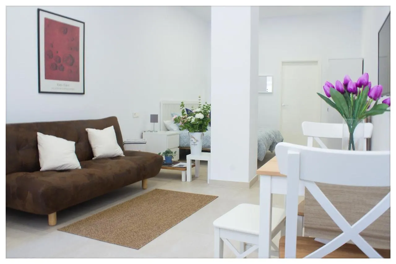 Estacion-Centro Vialia Apartment Malaga Spain